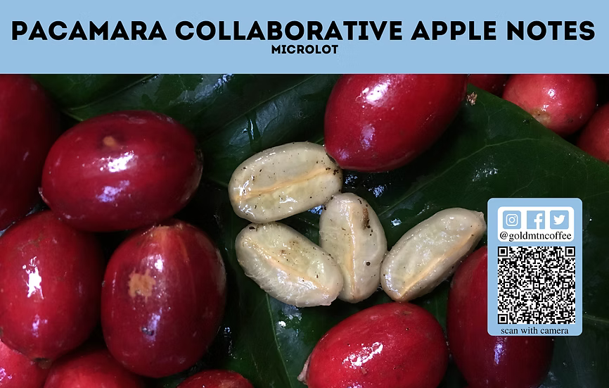 Nicaragua Pacamara Collaboration - Apple Notes Microlot - 12oz bag