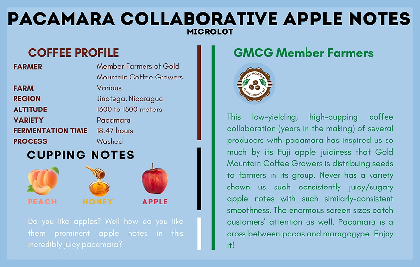 Nicaragua Pacamara Collaboration - Apple Notes Microlot - 12oz bag
