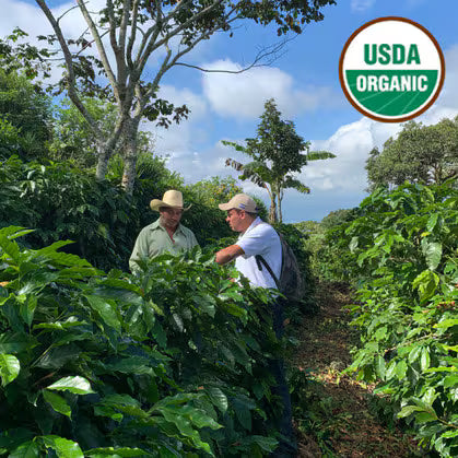 Honduras Organic Copan SHG EP 2025 - 12oz bag