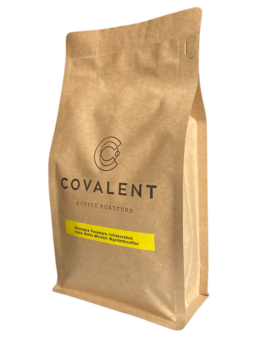 Nicaragua Pacamara Collaboration - Apple Notes Microlot - 12oz bag